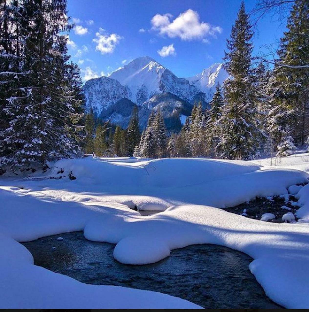 Penzion Enrico Ždiar Exteriér fotografie